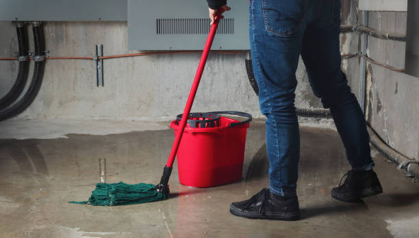 Best Basement water damage restoration  in Toftrees, PA