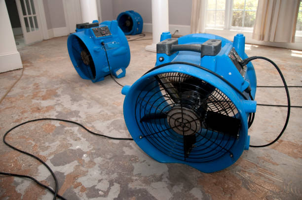 Best Residential water damage restoration  in Toftrees, PA