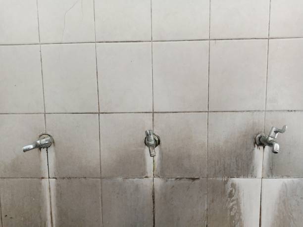 Best Commercial water damage restoration  in Toftrees, PA