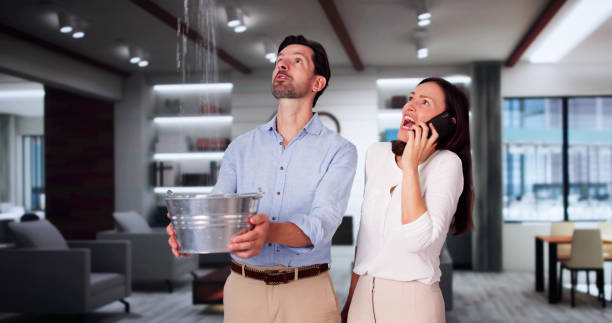 Best Ceiling water damage repair  in Toftrees, PA